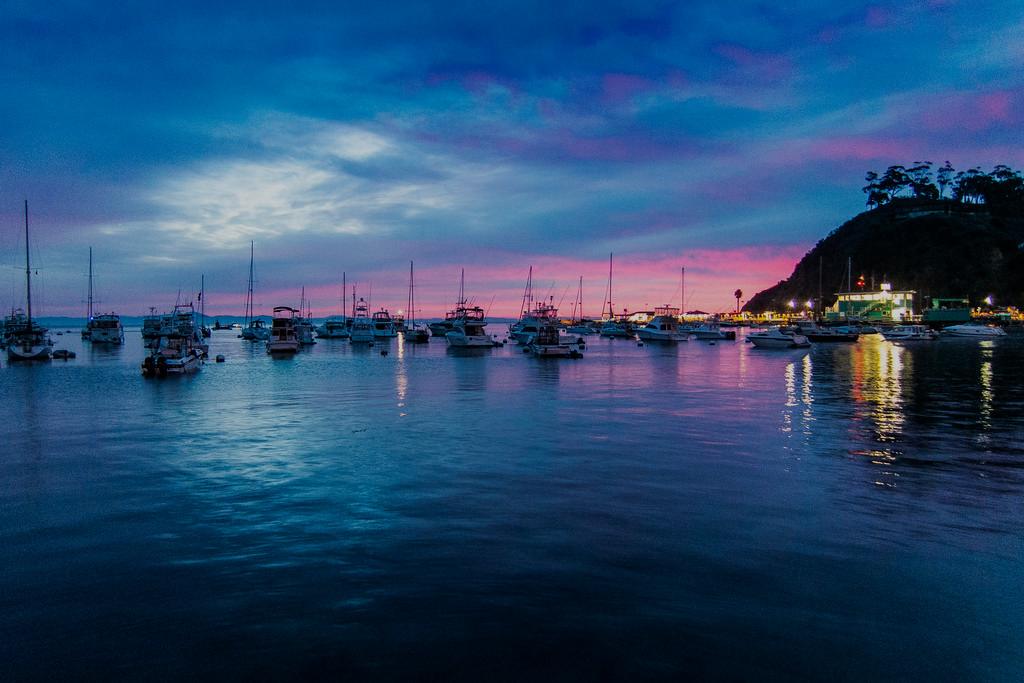 Avalon Bay at deep dusk with the town lights on the water